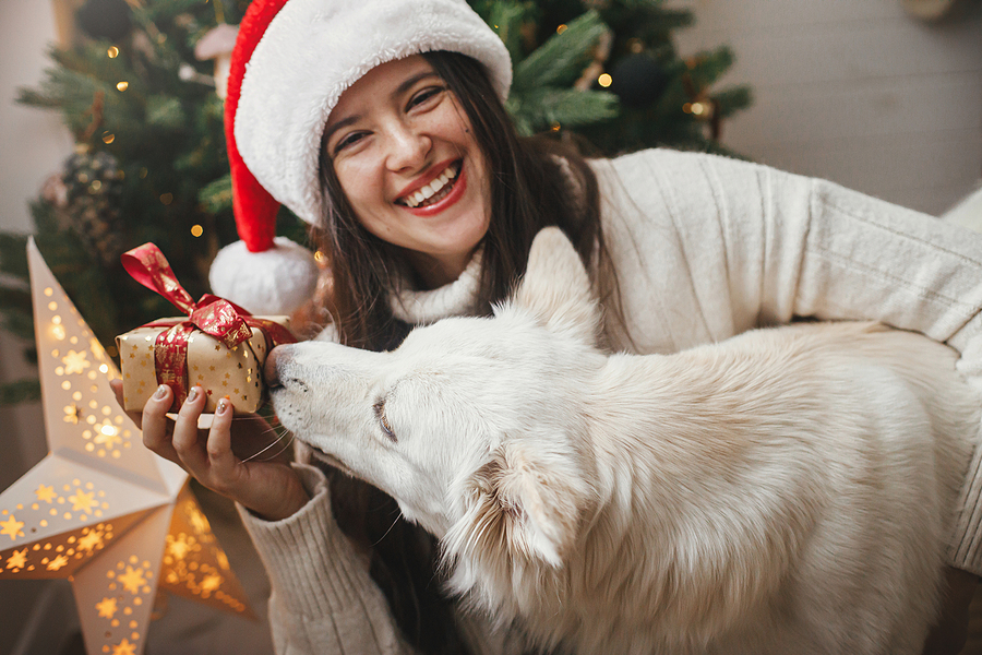 Amazing Oral Health Tips for Christmas